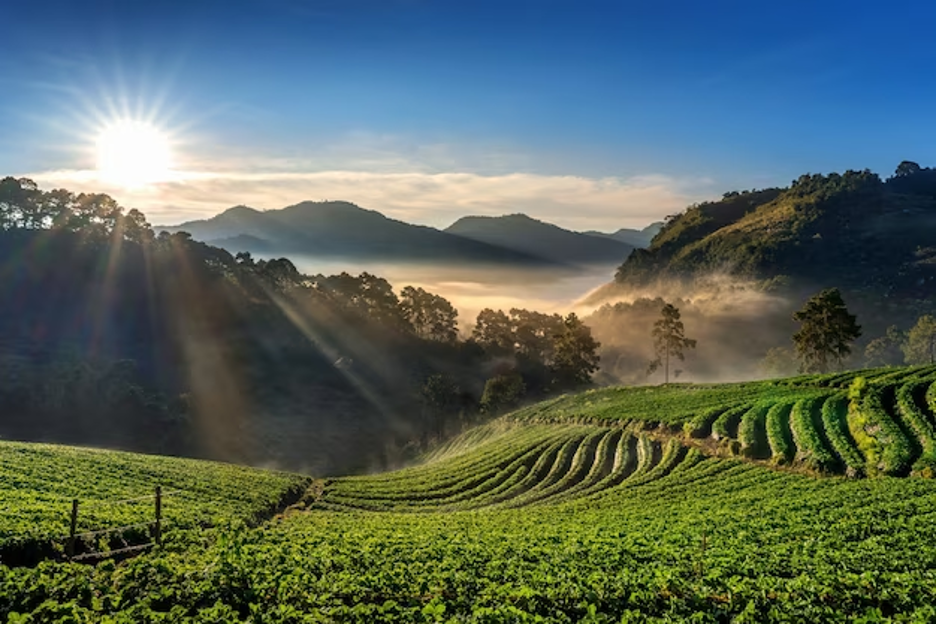 https://www.travelmaniac.in/wp-content/uploads/2023/04/Picture-41.png